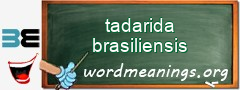 WordMeaning blackboard for tadarida brasiliensis
